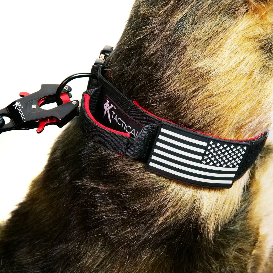 KTactical Tactical Dog Collar K9 Rugged Heavy Duty Handle Black + Red Ktactical Kit Patch