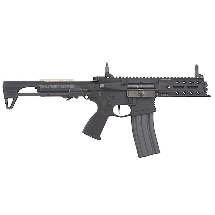 G&g arp556 aeg aeg (auto electric gun) free shipping on sale