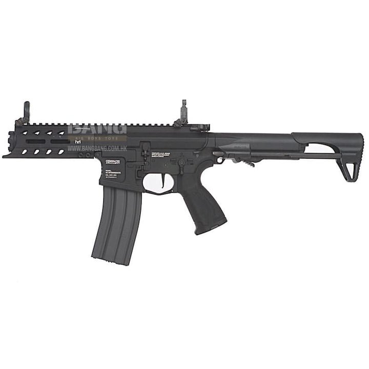 G&g arp556 aeg aeg (auto electric gun) free shipping on sale